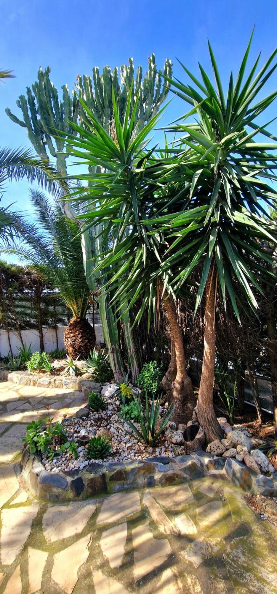 Casa Buganvilla L'Ametlla de Mar Esterno foto